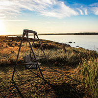 免费用虚拟号码发短信