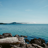 网络短信免费版