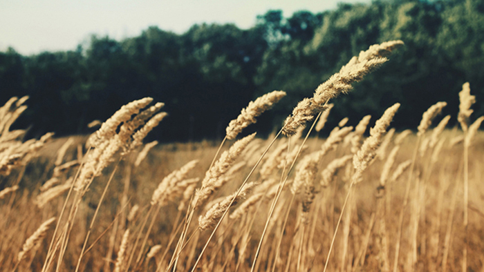 免费轰炸电话软件